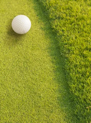 Golf hitting mat and putting turf with golf simulator setup